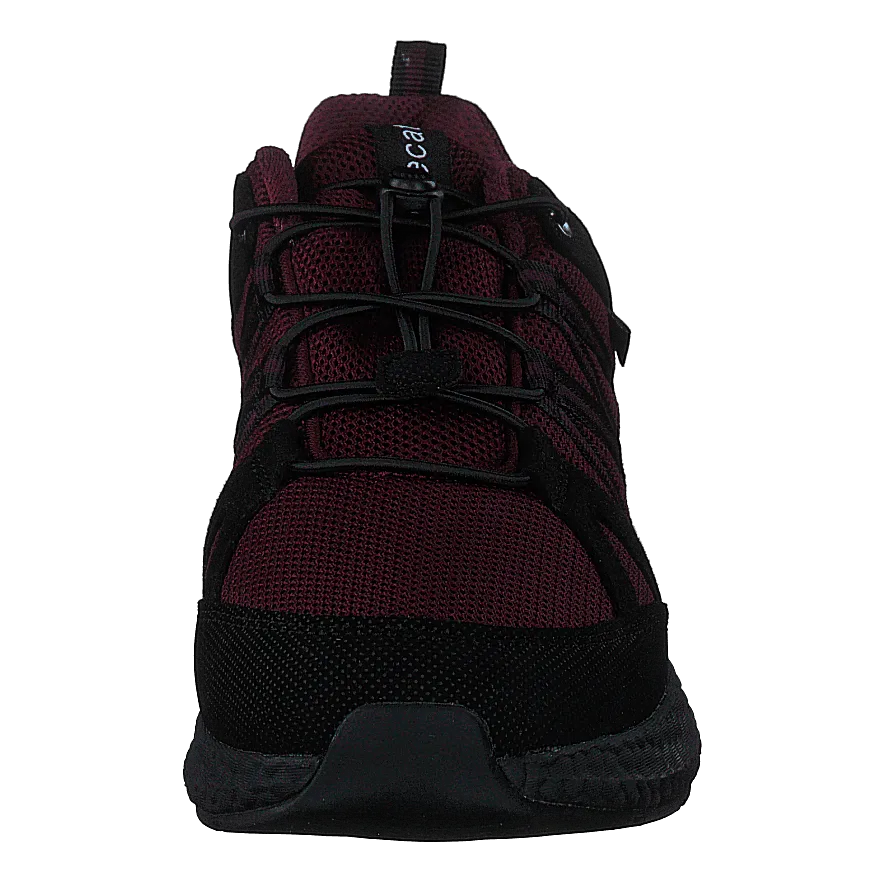 441-3151 Bordo