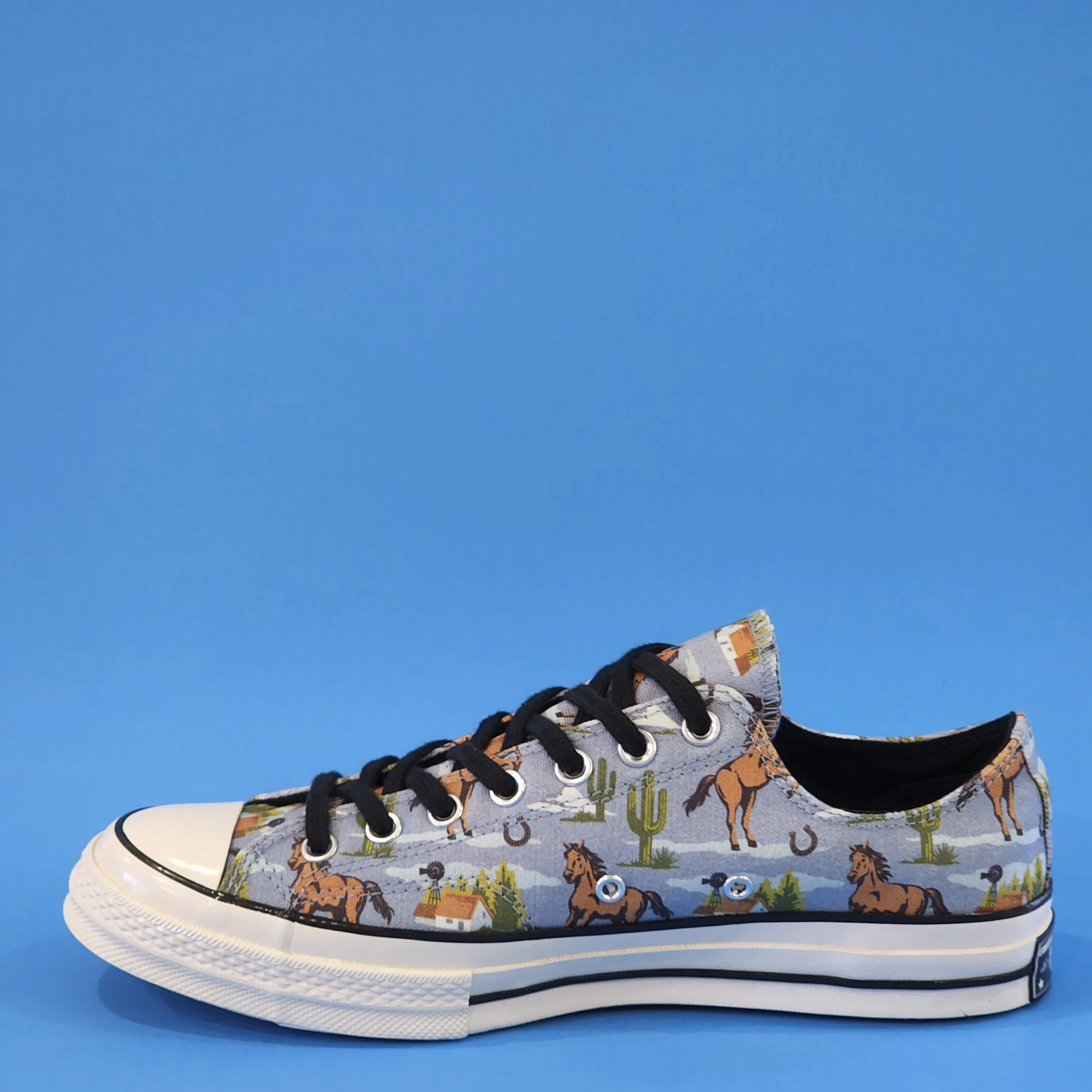 Converse Chuck 70 Low Ox Twisted Resort Canvas Unisex Sneakers 169820C NWTZ
