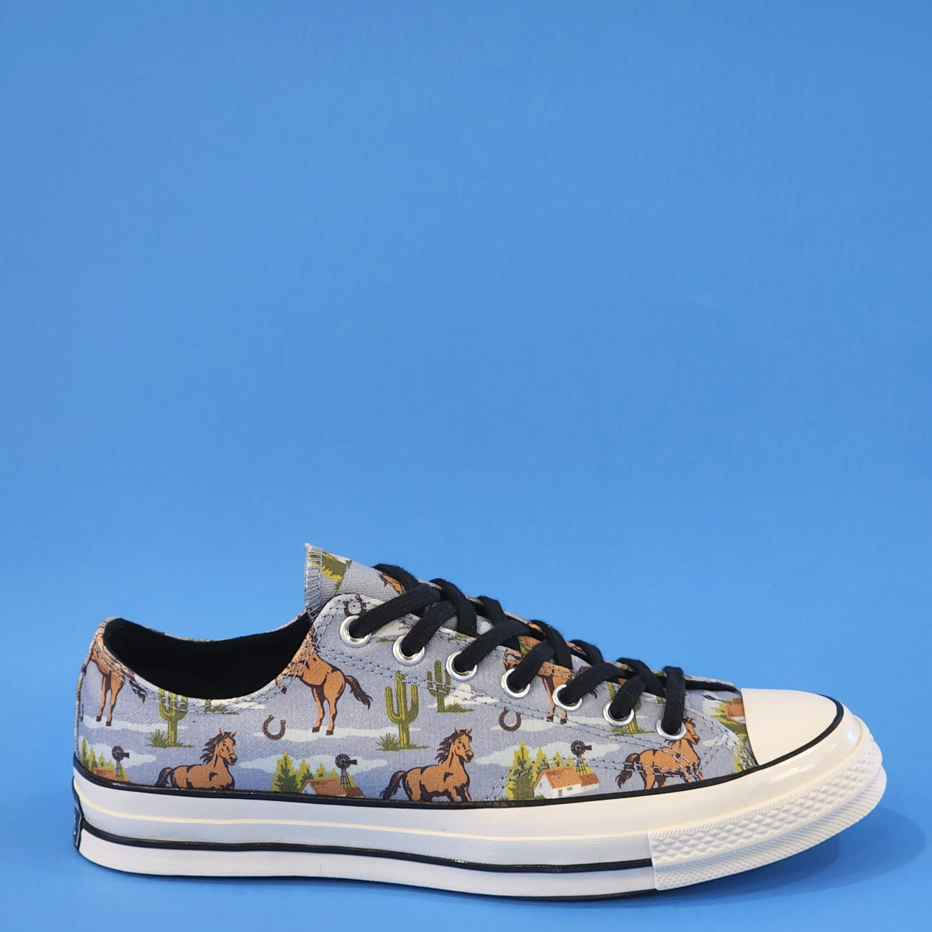 Converse Chuck 70 Low Ox Twisted Resort Canvas Unisex Sneakers 169820C NWTZ