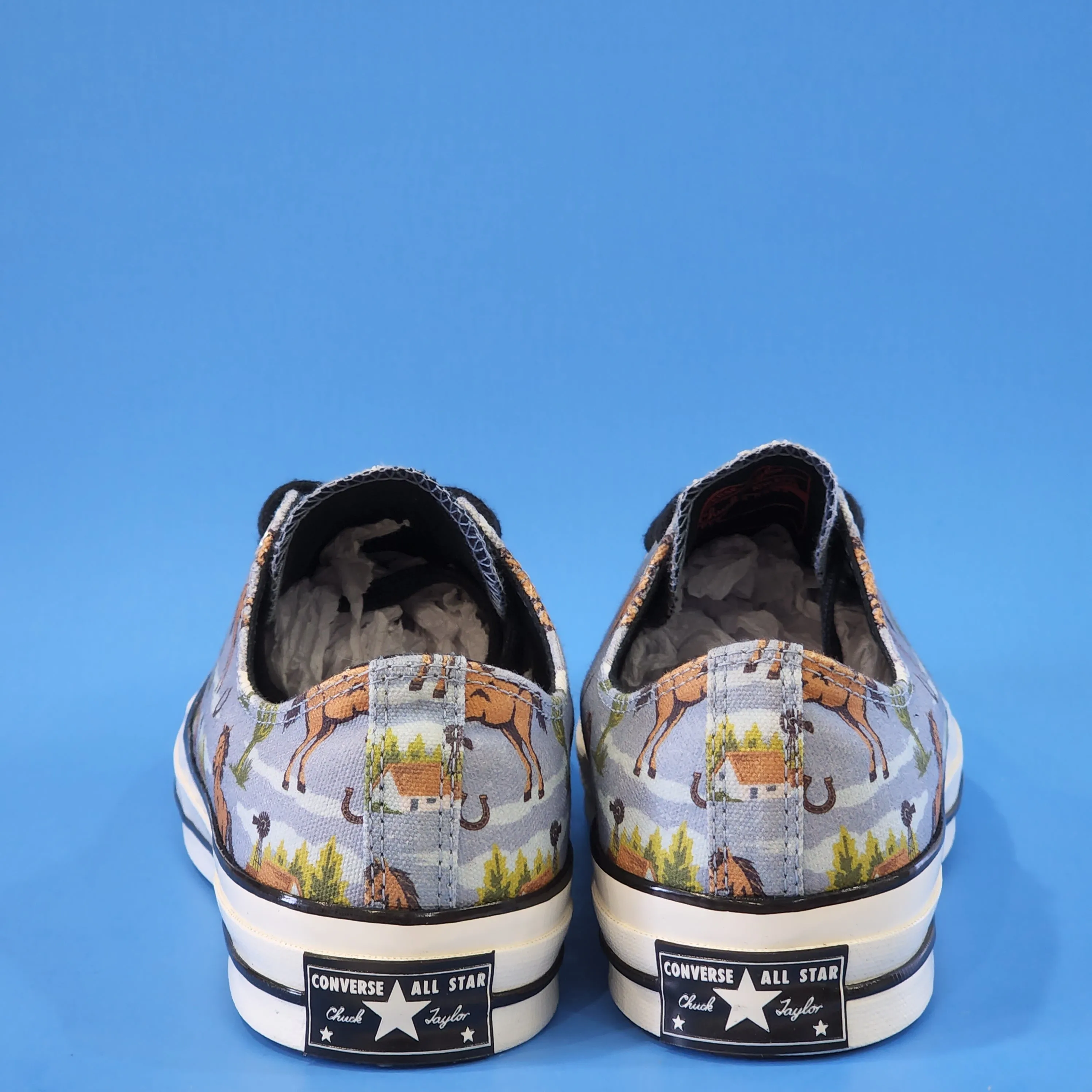 Converse Chuck 70 Low Ox Twisted Resort Canvas Unisex Sneakers 169820C NWTZ