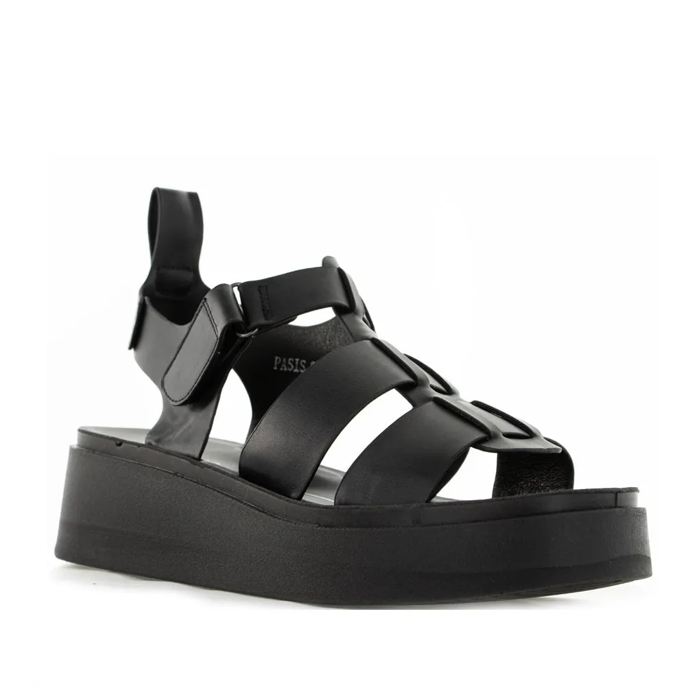 LOS CABOS PASIS BLACK