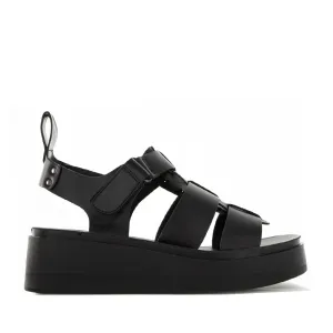 LOS CABOS PASIS BLACK