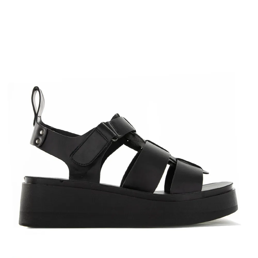 LOS CABOS PASIS BLACK